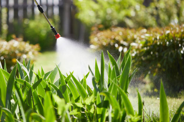 24/7 Emergency Ant Control experts in Southport, NC