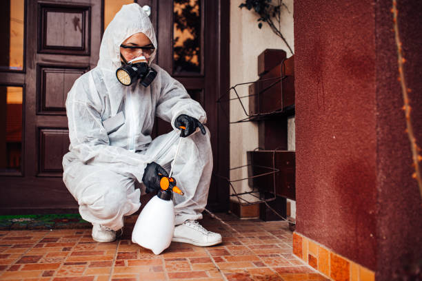 Reliable Ant Control contractor in Southport, NC by Nex Pest Control