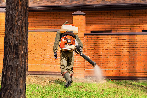 Trusted Ant Control service in Southport, NC - Nex Pest Control